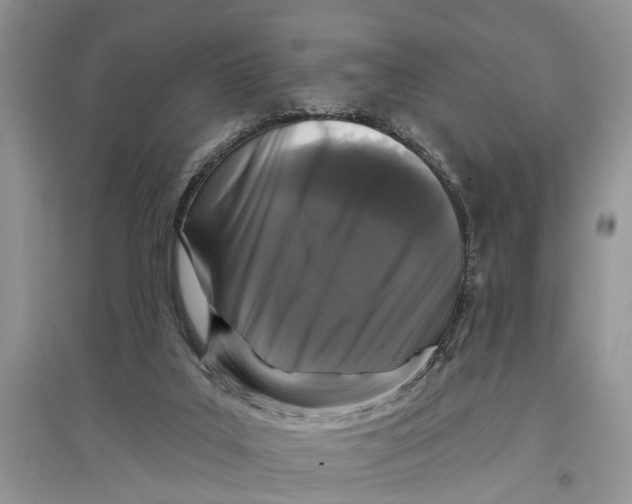 X0000097290019200803071741