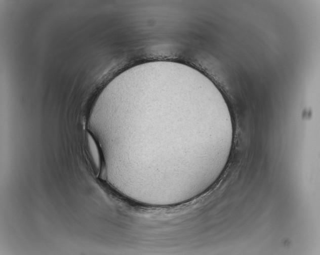 X0000097290021200803071741