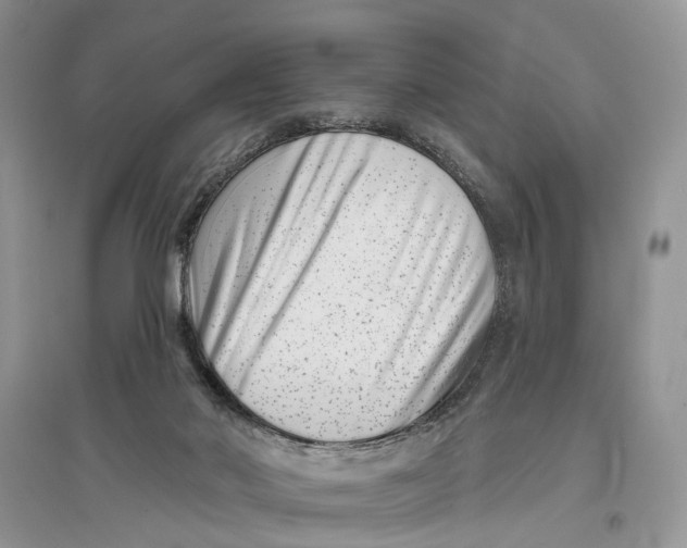 X0000097290022200803071741