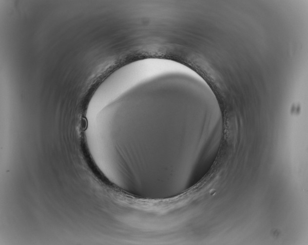 X0000097290023200803071741