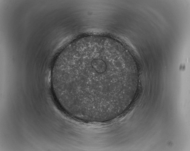 X0000097290024200803071741