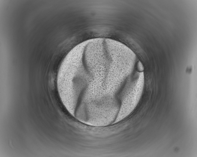 X0000097290026200803071741