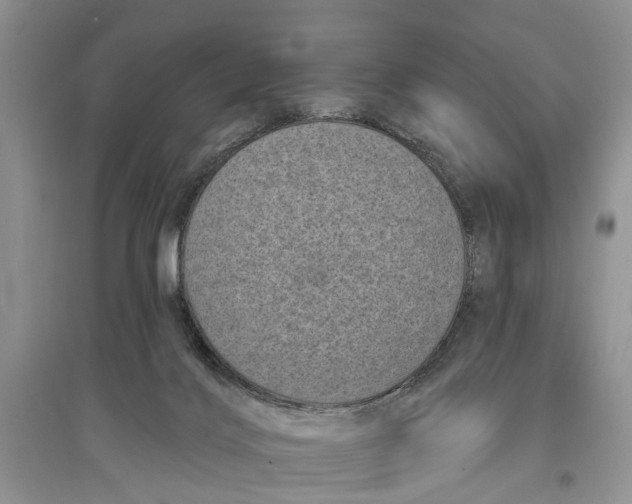 X0000097290028200803071741