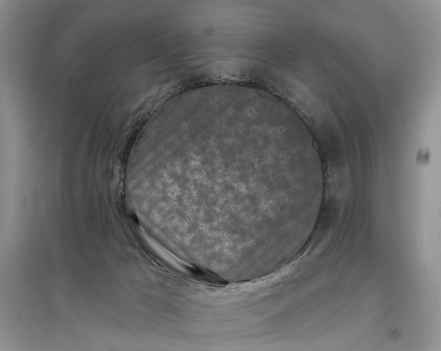 X0000097290029200803071741