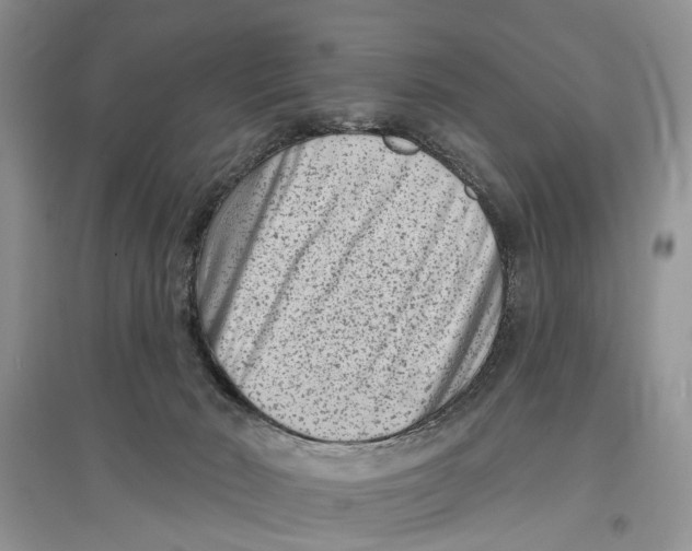 X0000097290030200803071741