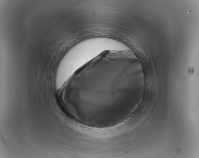 X0000097290031200803071741