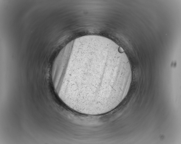 X0000097290032200803071741