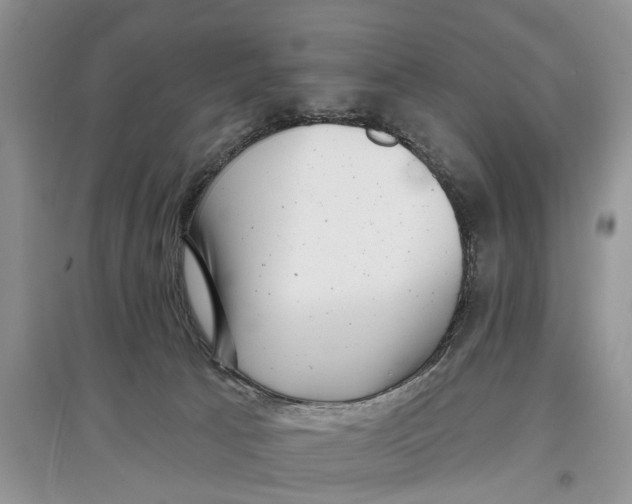 X0000097290033200803071741