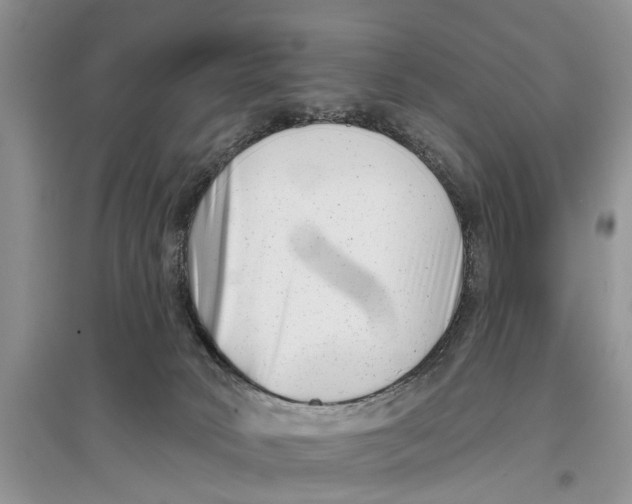 X0000097290034200803071741