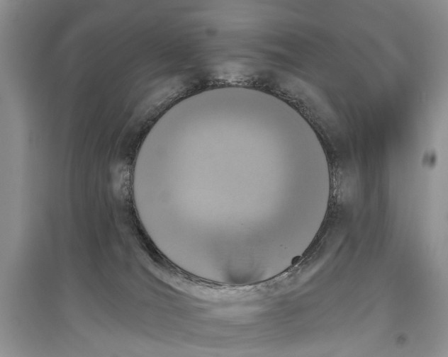 X0000097290036200803071741