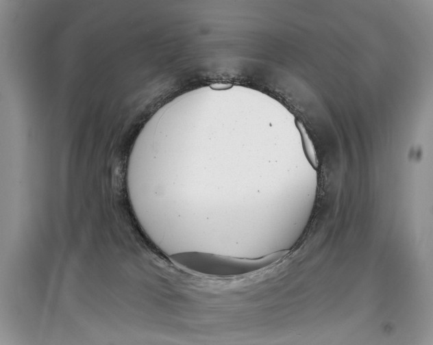 X0000097290037200803071741