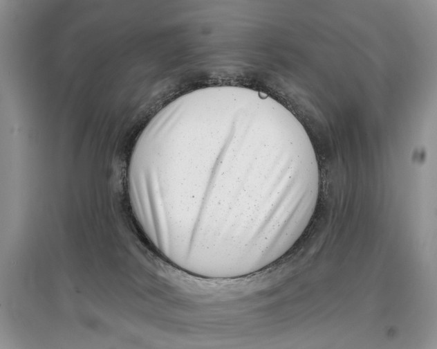 X0000097290038200803071741