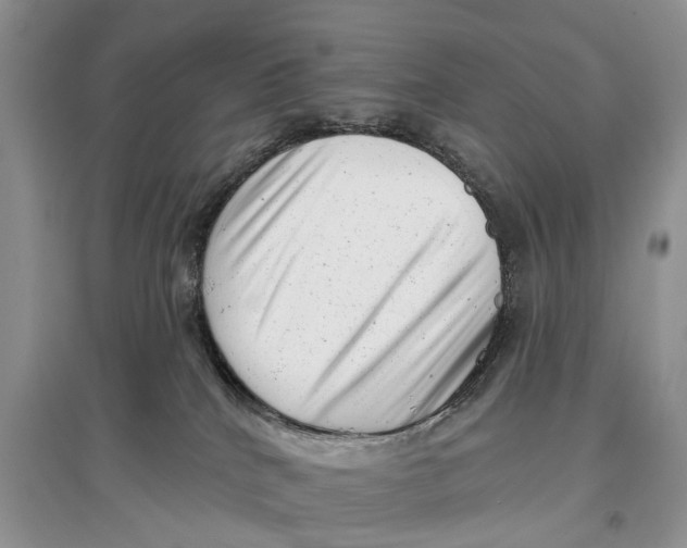 X0000097290040200803071741