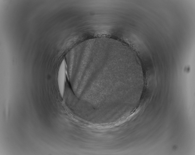 X0000097290041200803071741