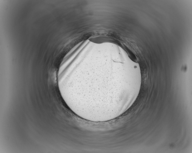 X0000097290042200803071741