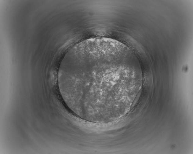 X0000097290043200803071741