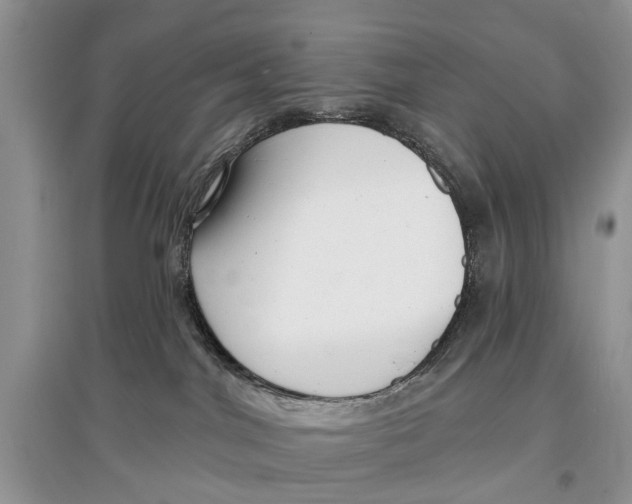 X0000097290044200803071741