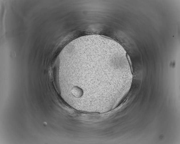 X0000097290045200803071741