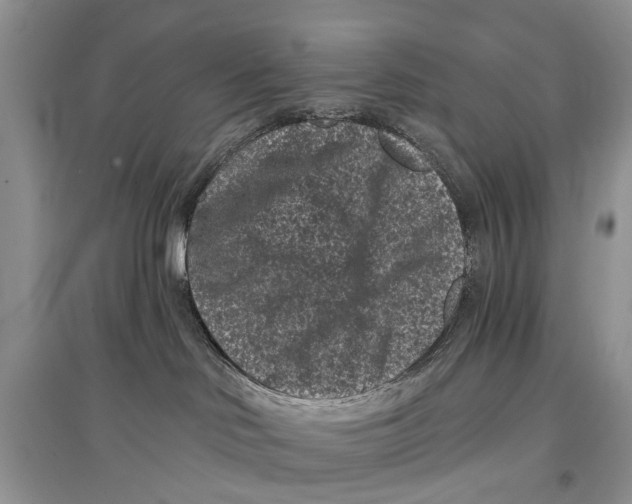 X0000097290046200803071741