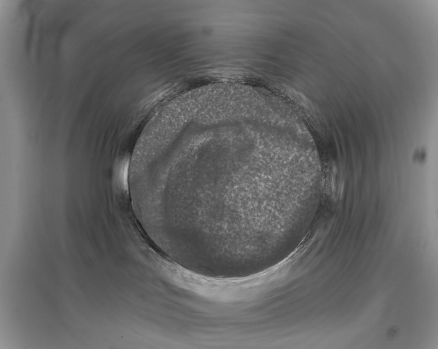 X0000097290047200803071741