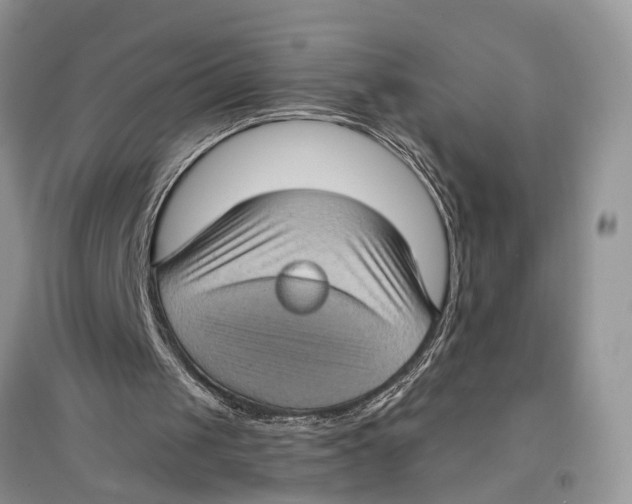 X0000097290049200803071740