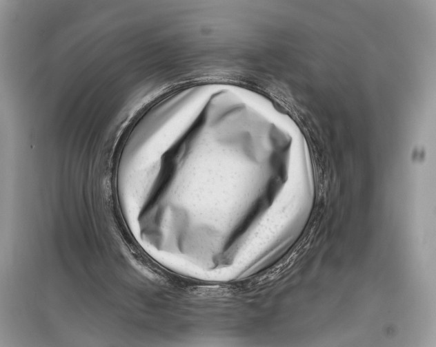 X0000097290050200803071740