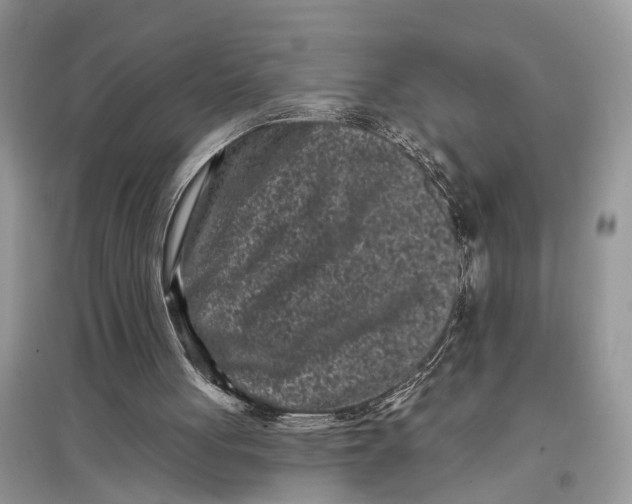 X0000097290051200803071740