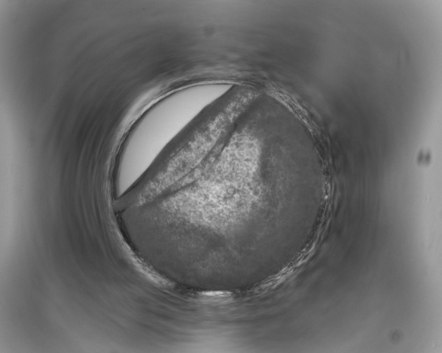 X0000097290053200803071740