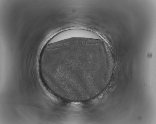 X0000097290055200803071740