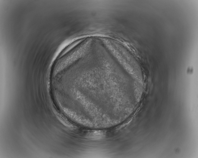 X0000097290056200803071740