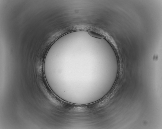 X0000097290057200803071740