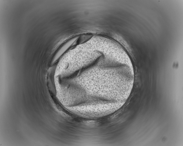 X0000097290058200803071740