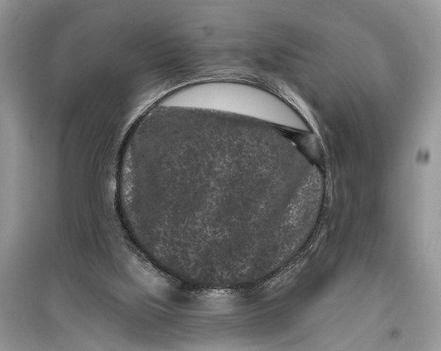 X0000097290059200803071740