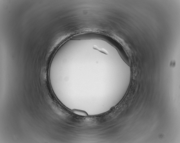 X0000097290060200803071740