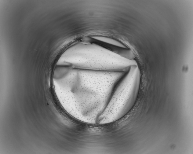 X0000097290062200803071740