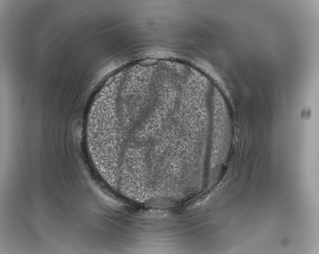 X0000097290063200803071740