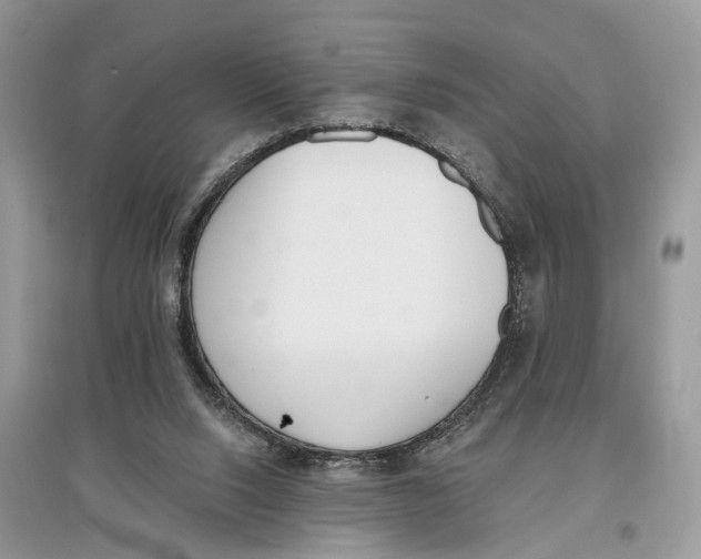 X0000097290064200803071740