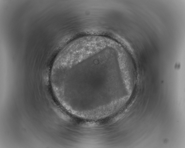 X0000097290065200803071740