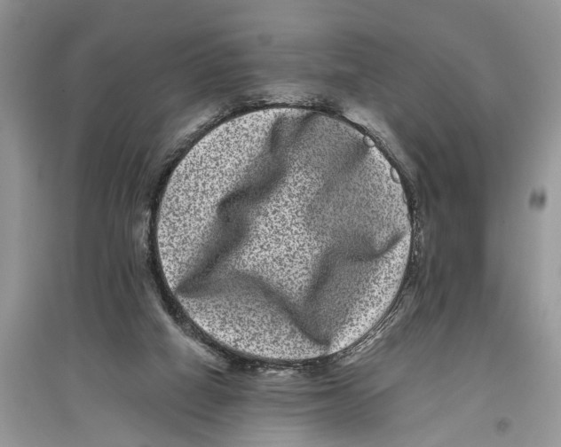 X0000097290066200803071740