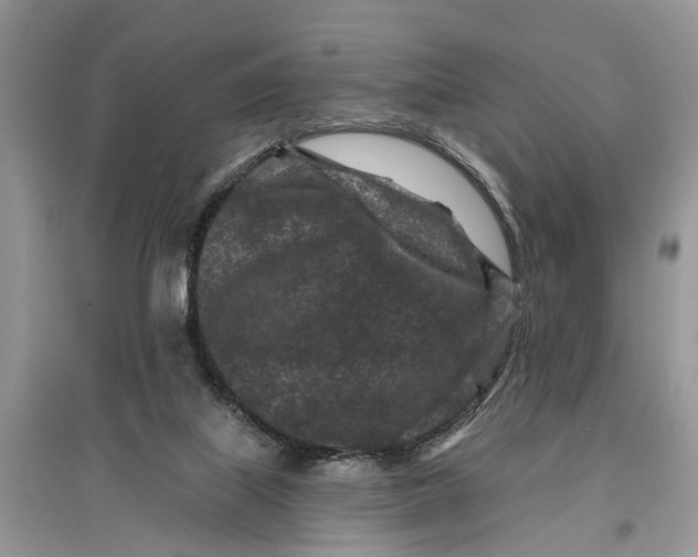 X0000097290067200803071740