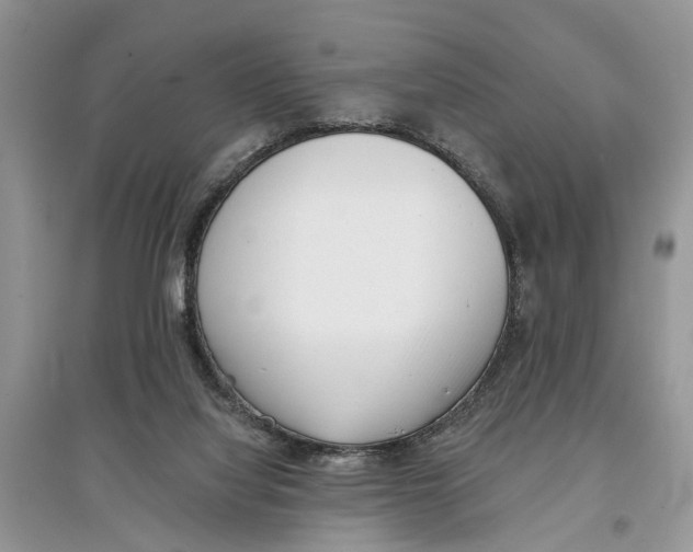 X0000097290068200803071740