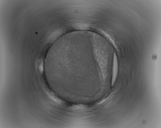 X0000097290069200803071740