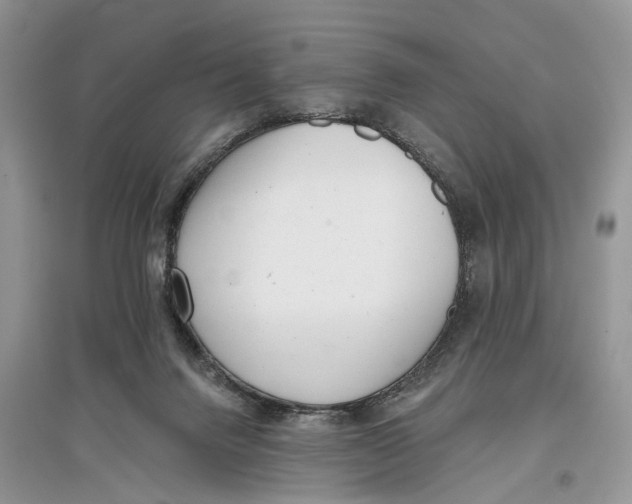 X0000097290072200803071740