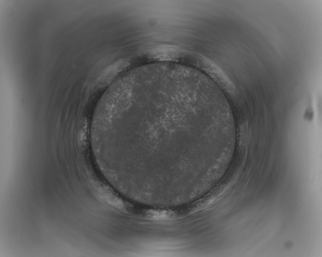 X0000097290073200803071740