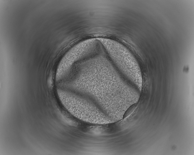 X0000097290074200803071740