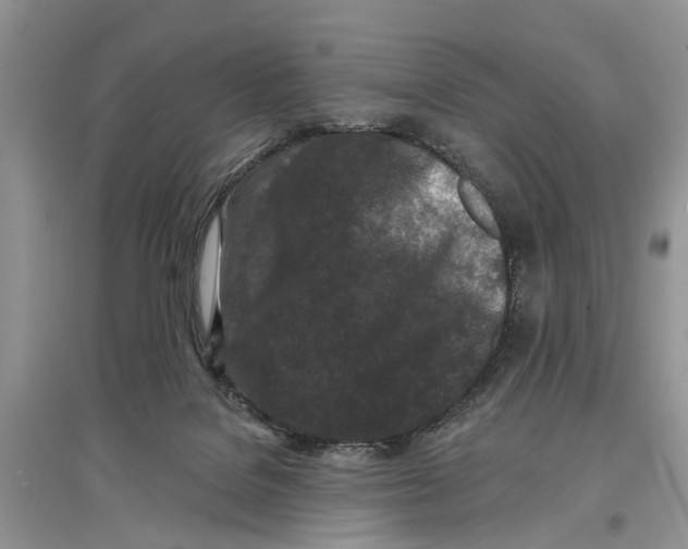 X0000097290076200803071740