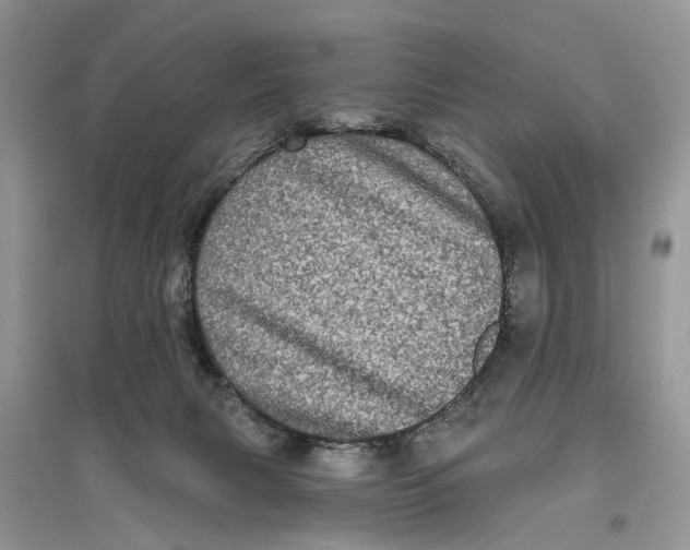 X0000097290079200803071740