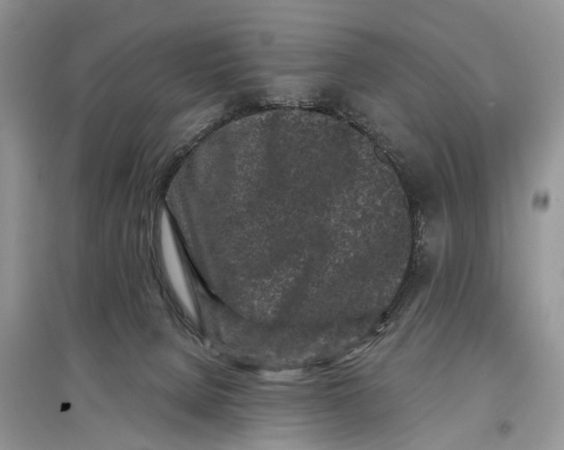 X0000097290080200803071740