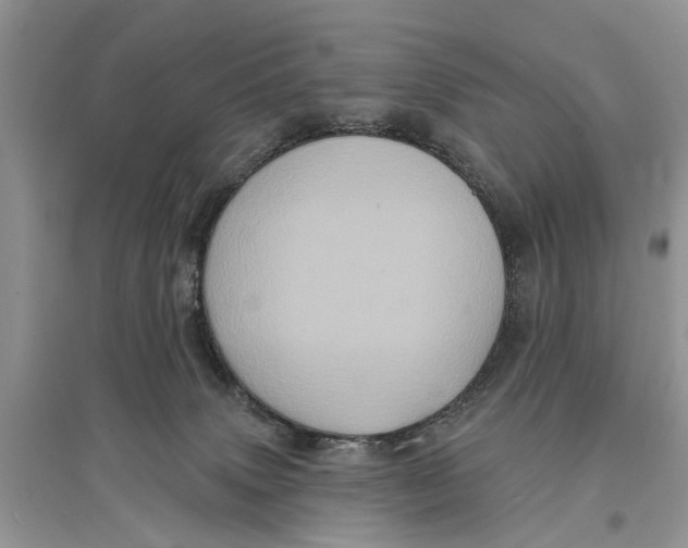 X0000097290083200803071740