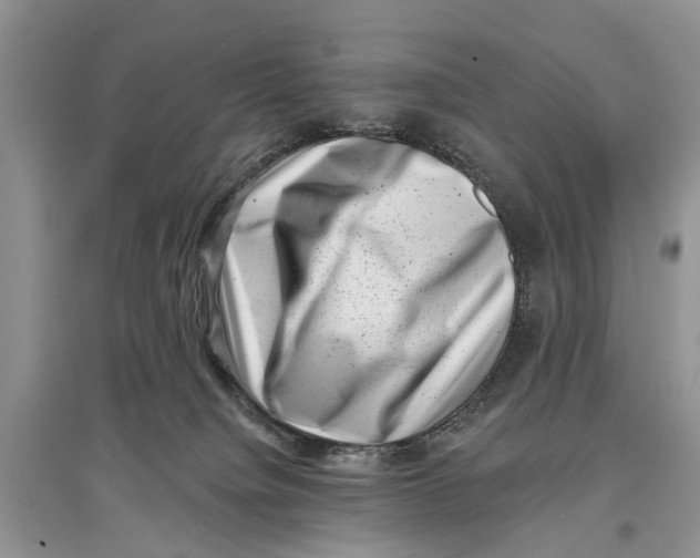 X0000097290084200803071740